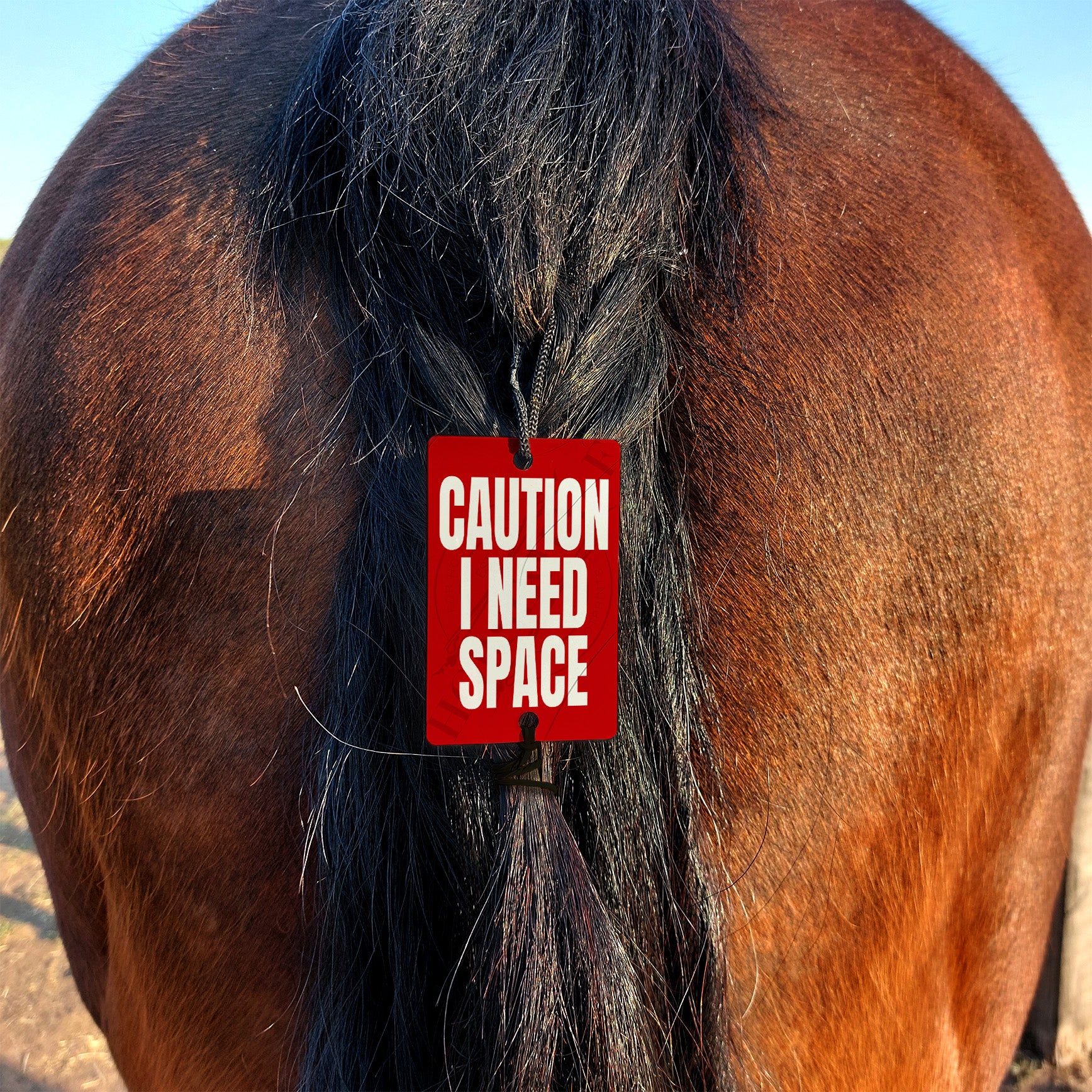 Tail Warning - I Need Space