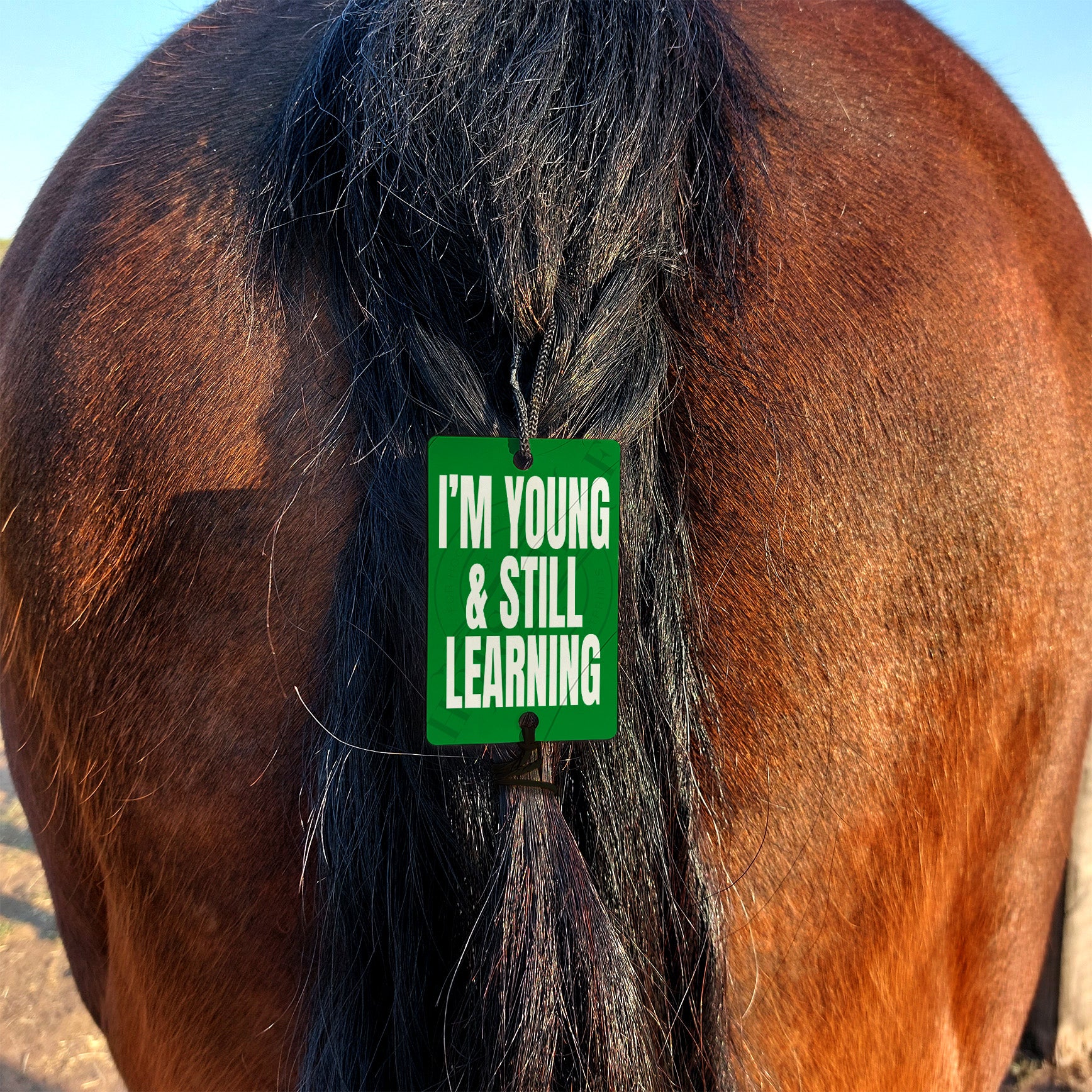 Tail Warning - Learning