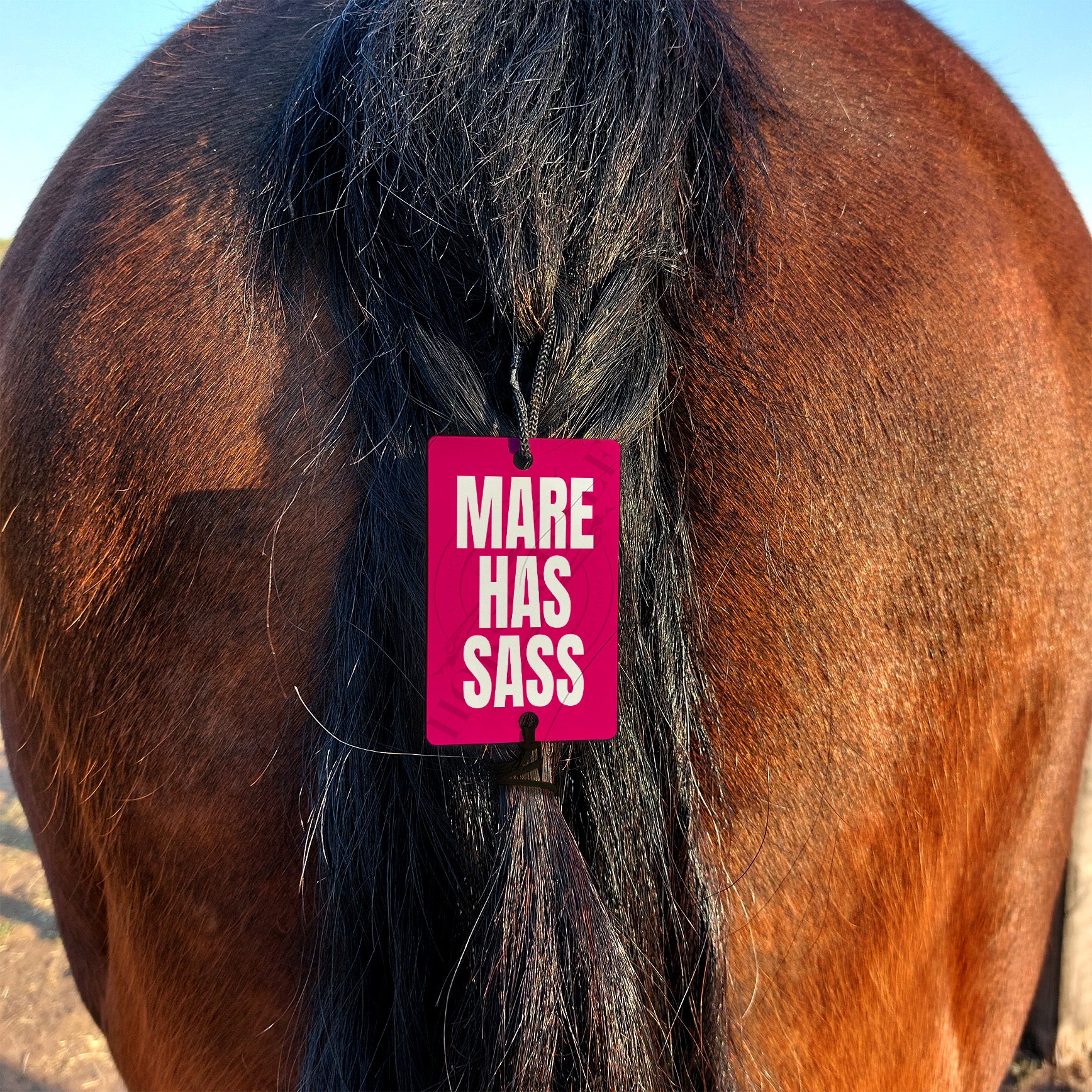 Tail Warning - Mare Has Sass