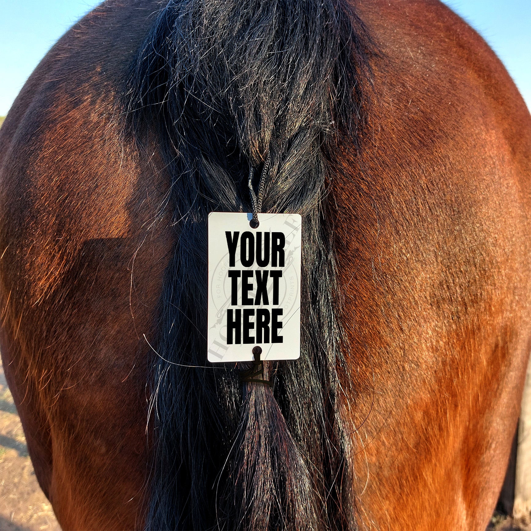 Tail Warning - Custom